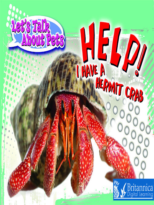 Help! I Have A Hermit Crab