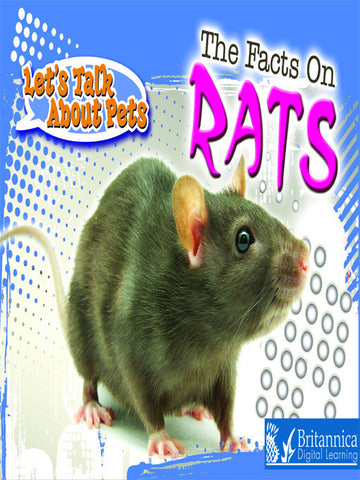The Facts on Rats