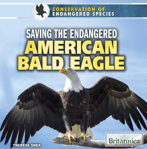Saving the Endangered American Bald Eagle