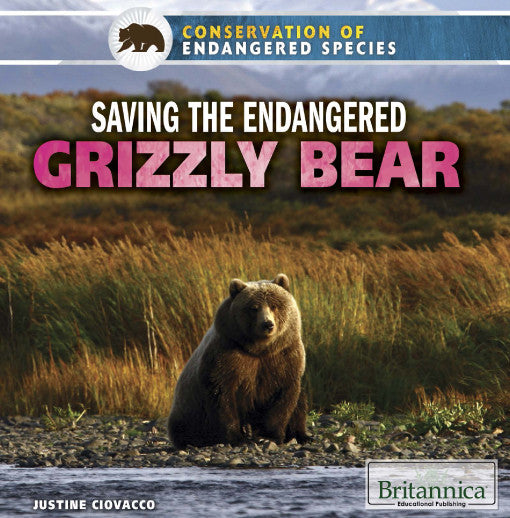 Saving the Endangered Grizzly Bear