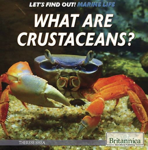 What Are Crustaceans?