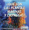Conozcamos las especies marinas (Let's Find Out! Marine Life) Series (NEW!)