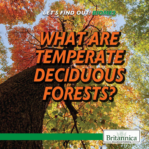 What Are Temperate Deciduous Forests?