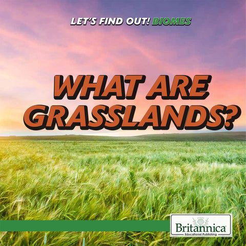 What Are Grasslands?