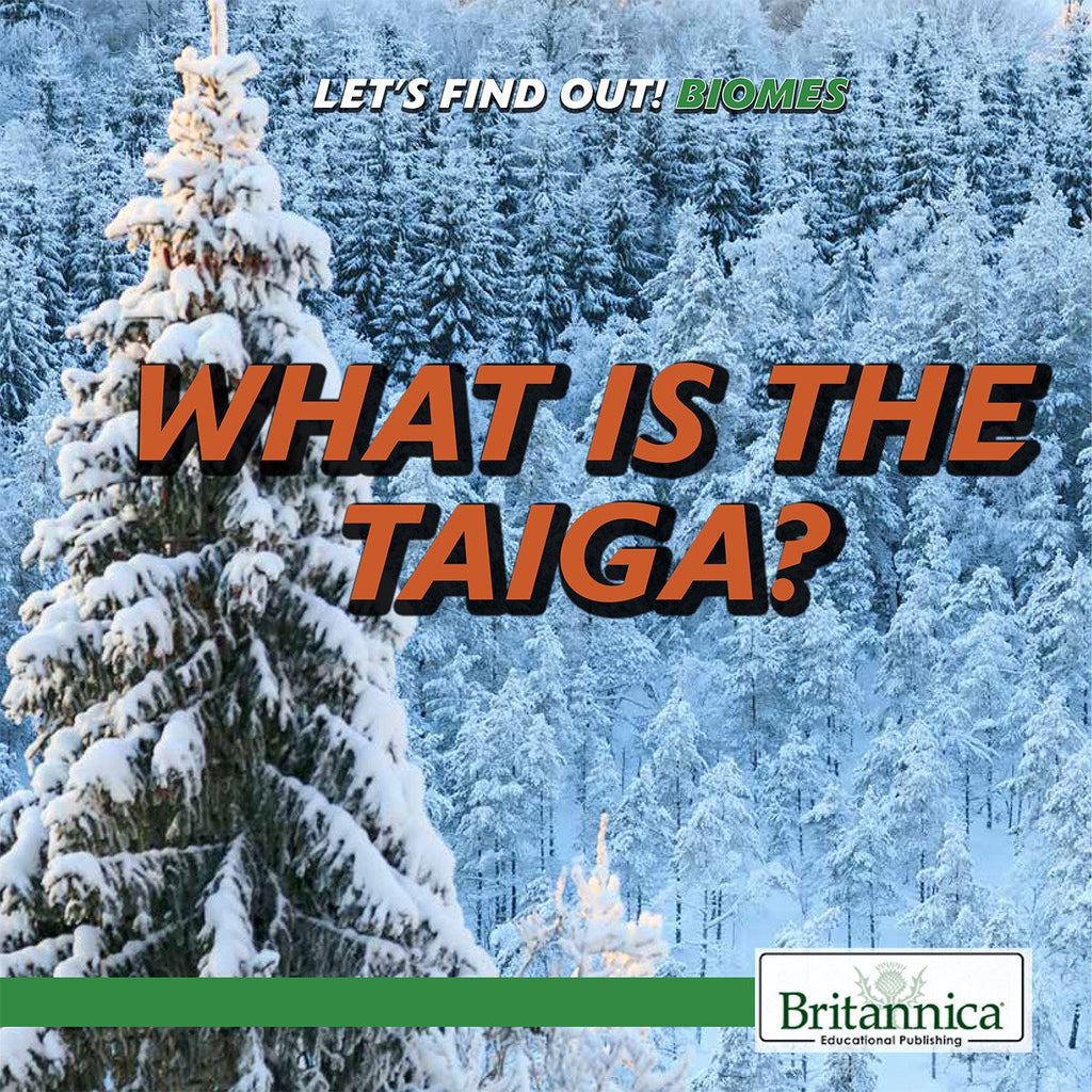What Is the Taiga?