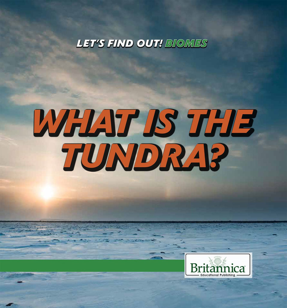 What Is the Tundra?