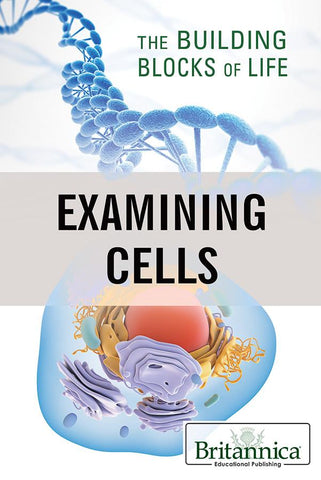 Examining Cells