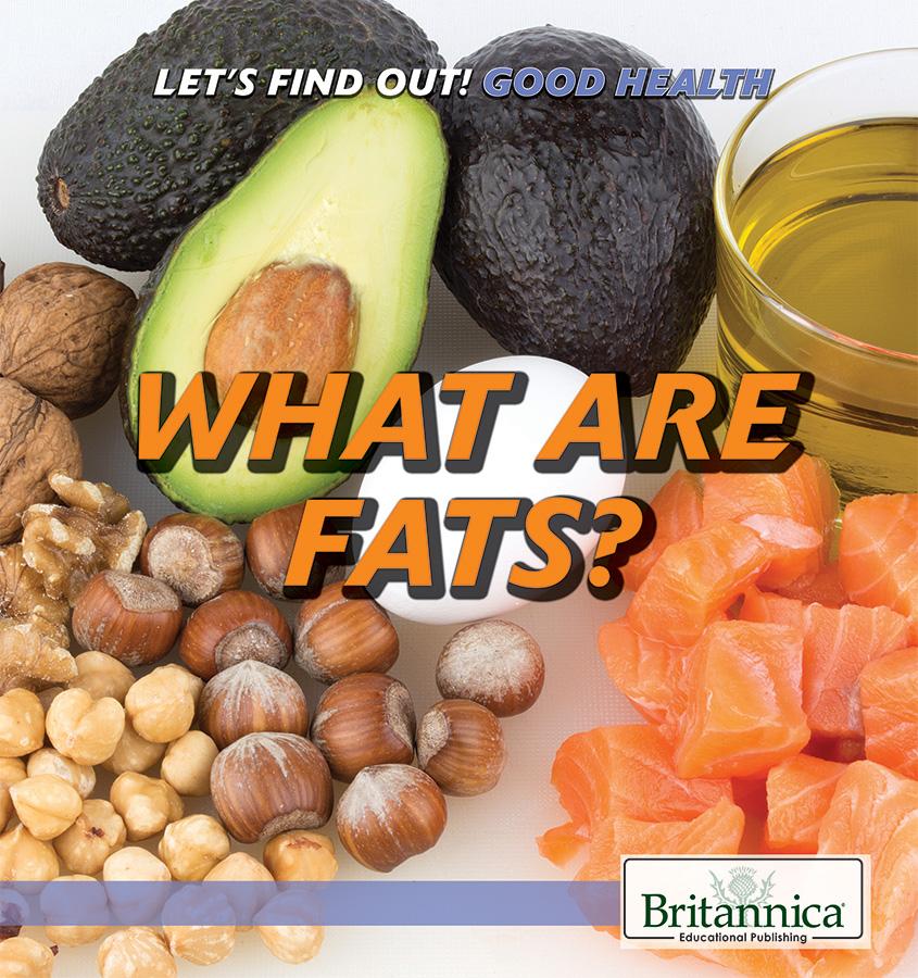 What Are Fats?