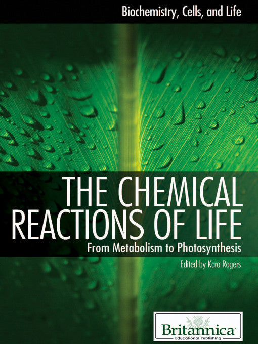 The Chemical Reactions of Life: From Metabolism to Photosynthesis