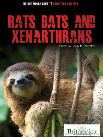 Rats, Bats, and Xenarthrans