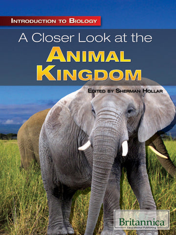 A Closer Look at the Animal Kingdom