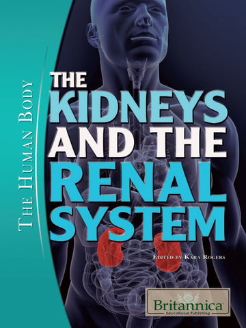 The Kidneys and the Renal System