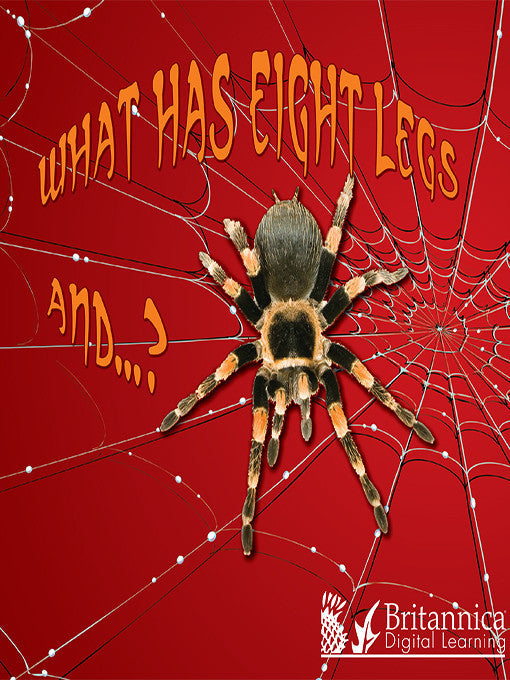 What Has Eight Legs and…?