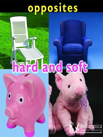 Opposites: Hard and Soft