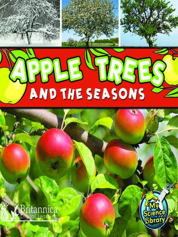 Apple Trees and the Seasons