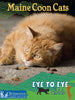 Eye to Eye with Cats Series