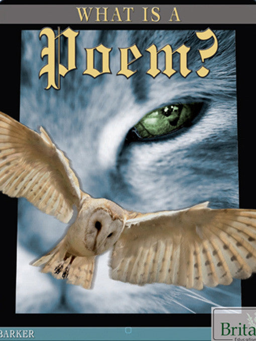 What Is a Poem?