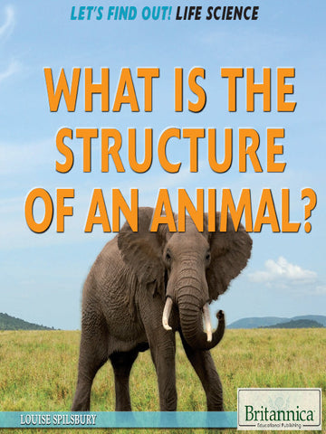 What Is the Structure of an Animal?