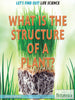 What Is the Structure of a Plant?
