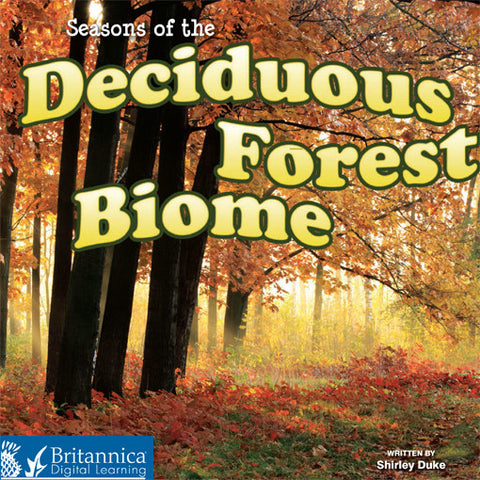 Seasons of the Deciduous Forest Biome