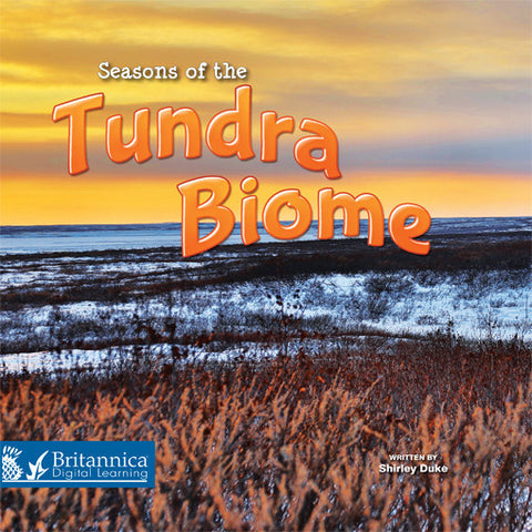 Seasons of the Tundra Biome