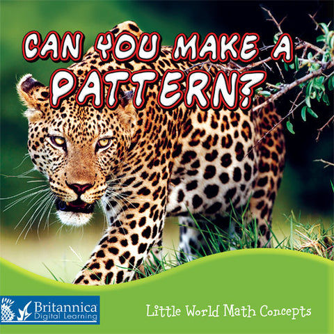 Can You Make a Pattern?