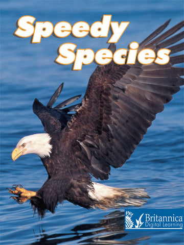 Speedy Species