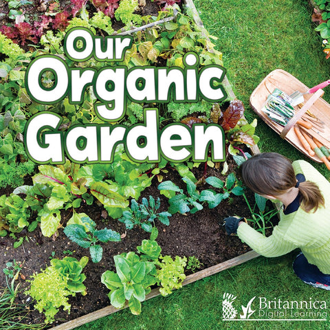 Our Organic Garden