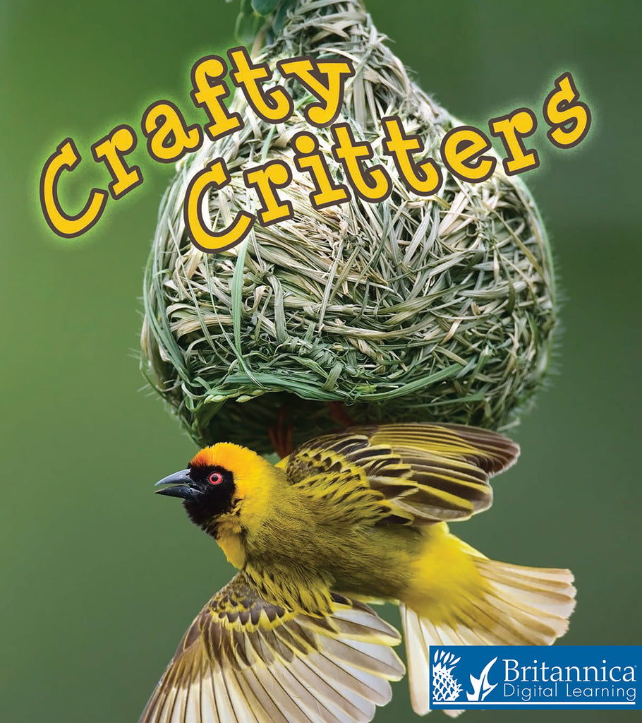 Crafty Critters