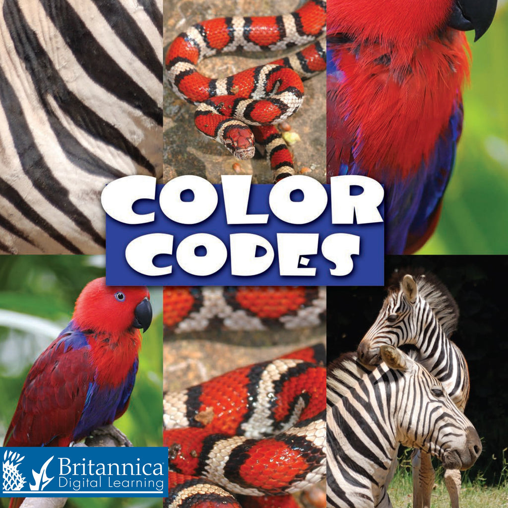Color Codes