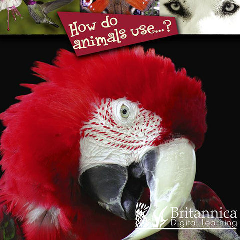 How do animals use…?