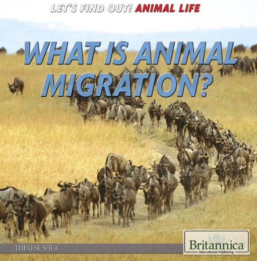 What is Animal Migration?