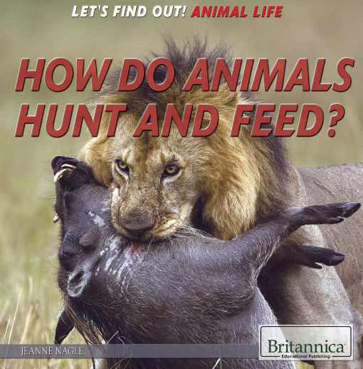 How Do Animals Hunt and Feed?