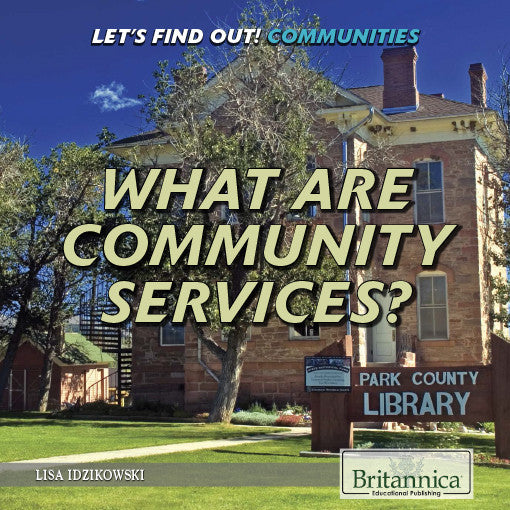 What Are Community Services?