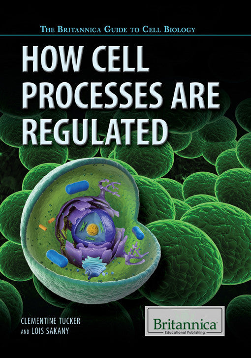 How Cell Processes are Regulated