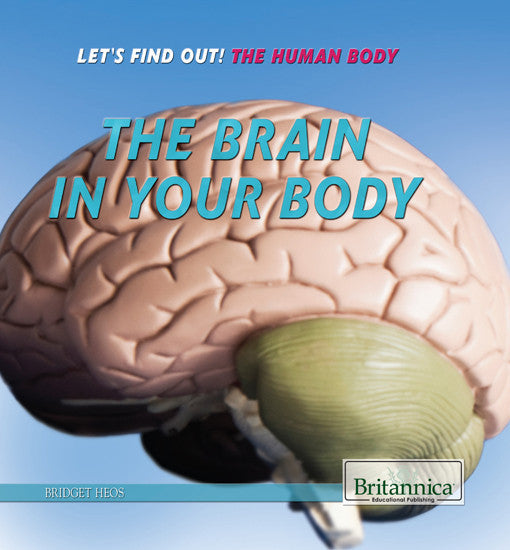 The Brain in Your Body
